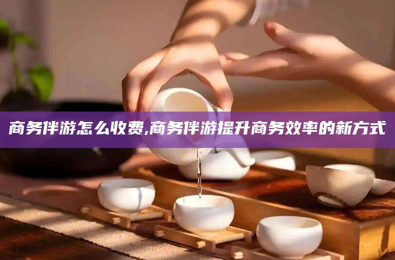 河南商务伴游怎么收费,商务伴游提升商务效率的新方式