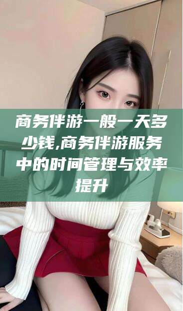 河南商务伴游一般一天多少钱,商务伴游服务中的时间管理与效率提升