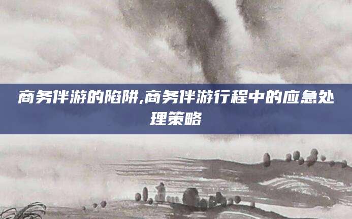 河南商务伴游的陷阱,商务伴游行程中的应急处理策略